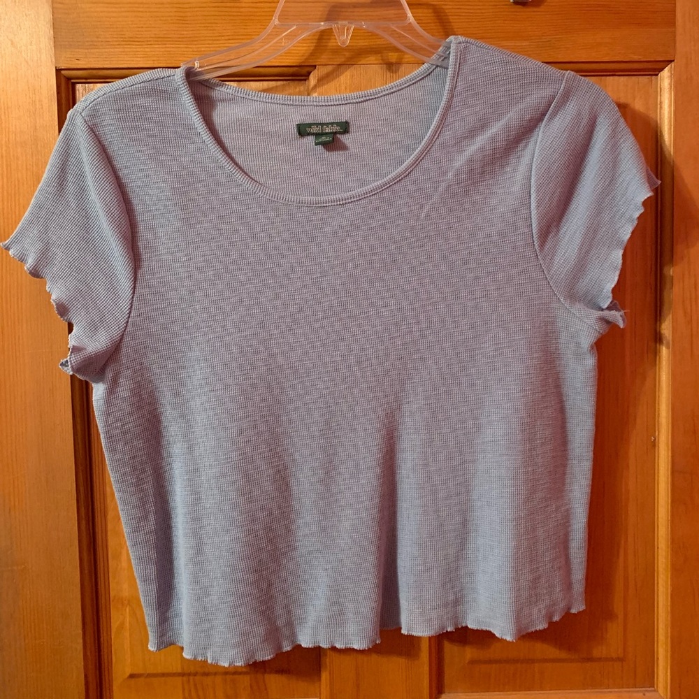 Light Blue/Lilac Crop Top